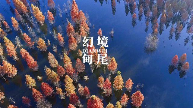 新奥特曼冒险